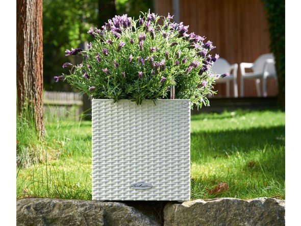 【レチューザ/Lechuza / GOODS】のCottage Cube / コテージキューブ 底面灌水セット付 人気、トレンドファッション・服の通販 founy(ファニー) 　ライナー　Liner, Inner Layer　送料無料　Free Shipping　おすすめ　Recommended / Our Picks　ホーム・キャンプ・アウトドア・お取り寄せ　Home Living / Home & Lifestyle / Camping Gear / Outdoor Camping　家具・インテリア　Home Furniture & Interior. Stylish & Functional Living Spaces　その他 インテリア雑貨、家具　Home Decor & Furniture Extras　other-6|ID: prp329100000009439 ipo3291000000031526428