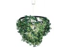 【フライミー プリュス/FLYMEe PLUS / GOODS】のPendant Lamp / ペンダントランプ #1990 -|ID: prp329100000009705 ipo3291000000036988888