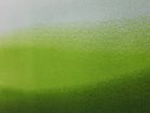 thumbnail other-6