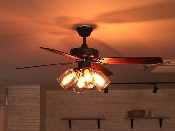 【フライミーパーラー/FLYMEe Parlor / GOODS】のCeiling Fan / シーリングファン #106778 人気、トレンドファッション・服の通販 founy(ファニー) 　ヴィンテージ　Vintage Style　ガラス　Glass, Glassware　ダウン　Down, Puffer　ブレード　Braid, Decorative Trim　リバーシブル　Reversible, Two-Sided　冬　Winter / This Winter　送料無料　Free Shipping　夏　Summer　ホーム・キャンプ・アウトドア・お取り寄せ　Home Living / Home & Lifestyle / Camping Gear / Outdoor Camping　家具・インテリア　Home Furniture & Interior. Stylish & Functional Living Spaces　ライト・照明　Lamps & Lighting Fixtures　other-5|ID: prp329100000010646 ipo3291000000031544709