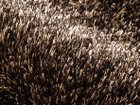 【フライミー ノワール/FLYMEe Noir / GOODS】のRUG / ラグ n73129 ブラウン|ID: prp329100000010798 ipo3291000000030222161