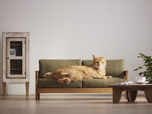 【広松木工/Hiromatsu Furniture / GOODS】のSANTA FE PLAZA 42% for Cat / サンタフェ キャビネット 42% 人気、トレンドファッション・服の通販 founy(ファニー) 　アンティーク　Antique　ネコ　Cat　猫　Cat　送料無料　Free Shipping　ホーム・キャンプ・アウトドア・お取り寄せ　Home,Garden,Outdoor,Camping Gear　家具・インテリア　Home Furniture & Interior. Stylish & Functional Living Spaces　収納家具・キャビネット　Storage Furniture　キャビネット　Cabinet　other-5|ID: prp329100001128897 ipo3291000000031524638