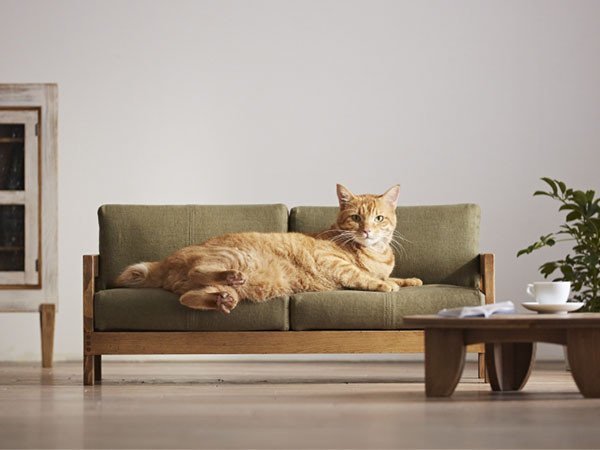 【広松木工/Hiromatsu Furniture / GOODS】のSANTA FE PLAZA 42% for Cat / サンタフェ ソファ 42% インテリア・キッズ・メンズ・レディースファッション・服の通販 founy(ファニー) https://founy.com/ アンティーク Antique ネコ Cat 猫 Cat リネン Linen 送料無料 Free Shipping ホーム・キャンプ・アウトドア・お取り寄せ Home,Garden,Outdoor,Camping Gear 家具・インテリア Furniture その他 インテリア雑貨、家具 Furniture, Interior, Others |ID: prp329100001128898 ipo3291000000007891870