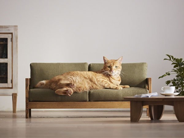 【広松木工/Hiromatsu Furniture / GOODS】のSANTA FE PLAZA 42% for Cat / サンタフェ ソファ 42% インテリア・キッズ・メンズ・レディースファッション・服の通販 founy(ファニー) 　アンティーク　Antique　ネコ　Cat　猫　Cat　リネン　Linen　送料無料　Free Shipping　ホーム・キャンプ・アウトドア・お取り寄せ　Home,Garden,Outdoor,Camping Gear　家具・インテリア　Furniture　その他 インテリア雑貨、家具　Furniture, Interior, Others　-|ID: prp329100001128898 ipo3291000000021923796