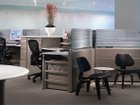 【ハーマンミラー/Herman Miller / GOODS】のEames Molded Plywood Lounge Chair / イームズ プライウッド ラウンジチェア ウッドレッグ LCW. A2 / LCW. 11 / LCW. EN / LCW. OU / LCW. 9N ウッド:エボニー|ID: prp329100001172110 ipo3291000000034295630
