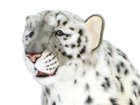 【ハンサ/HANSA / GOODS】のSNOW LEOPARD / ユキヒョウ 180 ハンドメイドならではの個性と愛嬌のある表情が魅力です。|ID:prp329100001236420