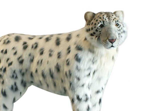 【ハンサ/HANSA / GOODS】のSNOW LEOPARD STANDING / ユキヒョウ 122 人気、トレンドファッション・服の通販 founy(ファニー) 　送料無料　Free Shipping　ハンド　Hand　ヒョウ　Leopard　リアル　Real　other-2|ID: prp329100001236421 ipo3291000000031472059