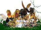 thumbnail other-3