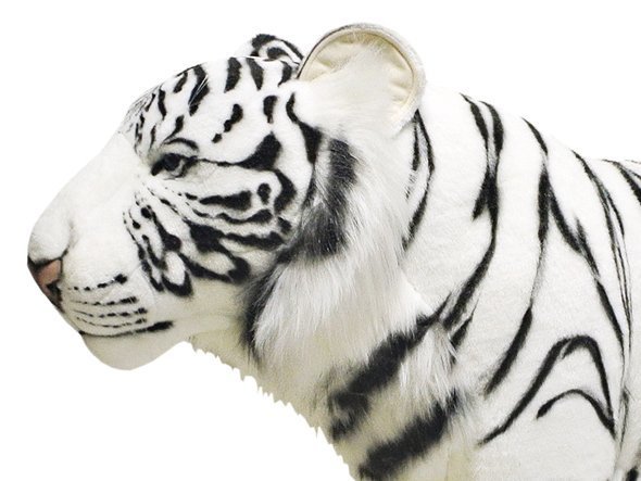【ハンサ/HANSA / GOODS】のWHITE TIGER / ホワイトタイガー 125 人気、トレンドファッション・服の通販 founy(ファニー) 送料無料 Free Shipping ハンド Hand, Handmade リアル Real, Realistic other-2|ID: prp329100001236422 ipo3291000000031472061