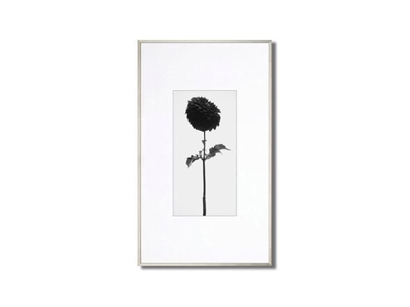【アイグレボゥ/IGREBOW / GOODS】のFLOWER / フラワー1 × 2[ f_612_18 ] 人気、トレンドファッション・服の通販 founy(ファニー) 　送料無料　Free Shipping　アクリル　Acrylic　シンプル　Simple　スタンダード　Standard　フラワー　Flower　フレーム　Flame　other-2|ID: prp329100001236426 ipo3291000000031520255