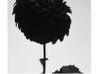 thumbnail other-4