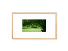 thumbnail other-4