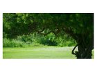 thumbnail other-6