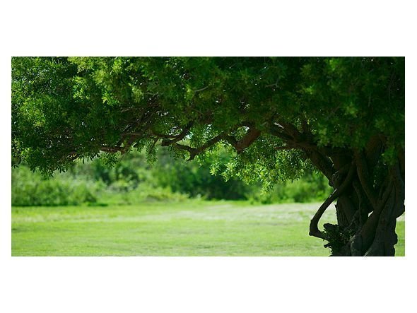 【アイグレボゥ/IGREBOW / GOODS】のLandscape / ランドスケープ 1 × 2[ CL_612_4 ] 人気、トレンドファッション・服の通販 founy(ファニー) 　送料無料　Free Shipping　アクリル　Acrylic　シンプル　Simple　スタンダード　Standard　フレーム　Flame　other-6|ID: prp329100001236448 ipo3291000000031520452