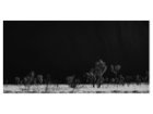 thumbnail other-6