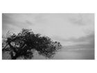 thumbnail other-6