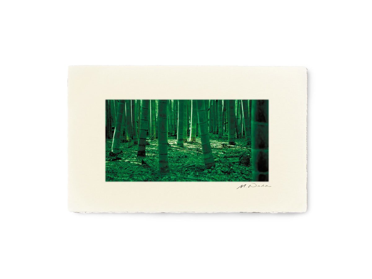 【アイグレボゥ/IGREBOW / GOODS】の日本 嵯峨野の竹林 / 日本 嵯峨野の竹林 1 × 2[ J-612-53 ] インテリア・キッズ・メンズ・レディースファッション・服の通販 founy(ファニー) 　送料無料　Free Shipping　フラット　Flat　プリント　Print　モダン　Modern　ランダム　Random　額装タイプ:手漉き和紙額装|ID: prp329100001236461 ipo3291000000030206720