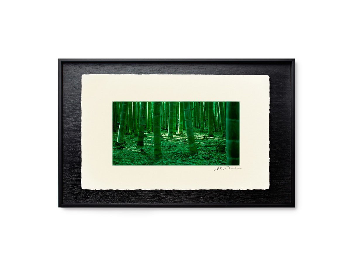 【アイグレボゥ/IGREBOW / GOODS】の日本 嵯峨野の竹林 / 日本 嵯峨野の竹林 1 × 2[ J-612-53 ] インテリア・キッズ・メンズ・レディースファッション・服の通販 founy(ファニー) 　送料無料　Free Shipping　フラット　Flat　プリント　Print　モダン　Modern　ランダム　Random　額装タイプ:和紙用木製額|ID: prp329100001236461 ipo3291000000030206735