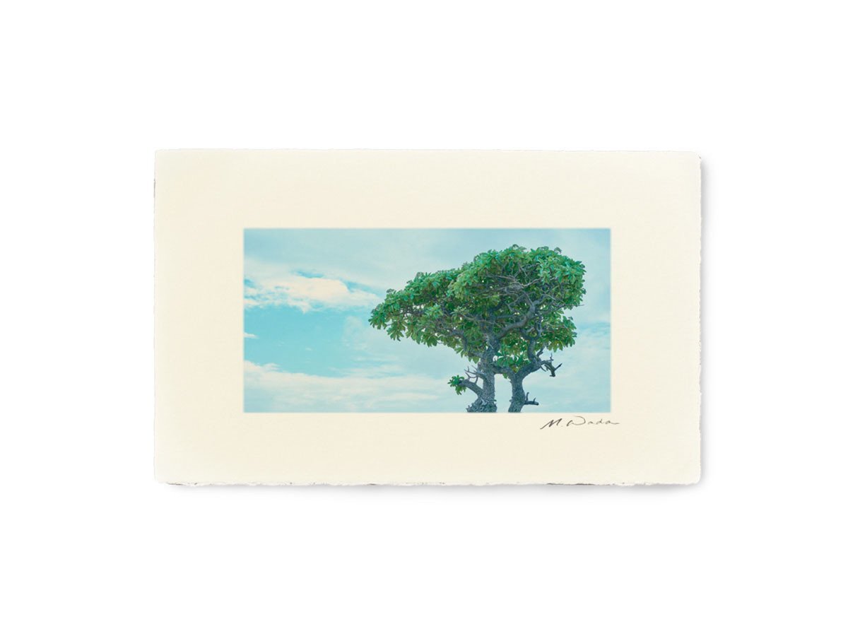 【アイグレボゥ/IGREBOW / GOODS】の日本 宮古島 / 日本 宮古島 1 × 2[ J-612-90 ] インテリア・キッズ・メンズ・レディースファッション・服の通販 founy(ファニー) 　送料無料　Free Shipping　フラット　Flat　プリント　Print　モダン　Modern　ランダム　Random　額装タイプ:手漉き和紙額装|ID: prp329100001236463 ipo3291000000030206830