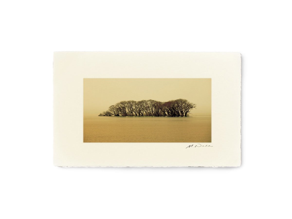 【アイグレボゥ/IGREBOW / GOODS】の日本 冬の琵琶湖 / 日本 冬の琵琶湖 1 × 2[ J-612-47 ] 人気、トレンドファッション・服の通販 founy(ファニー) 　送料無料　Free Shipping　フラット　Flat　プリント　Print　モダン　Modern　ランダム　Random　冬　Winter　other-2|ID: prp329100001236464 ipo3291000000031520584