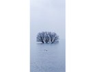 【アイグレボゥ/IGREBOW / GOODS】の日本 冬の琵琶湖 / 日本 冬の琵琶湖 1 × 2[ J-612-48 ] 日本 / 冬の琵琶湖|ID: prp329100001236468 ipo3291000000030207114