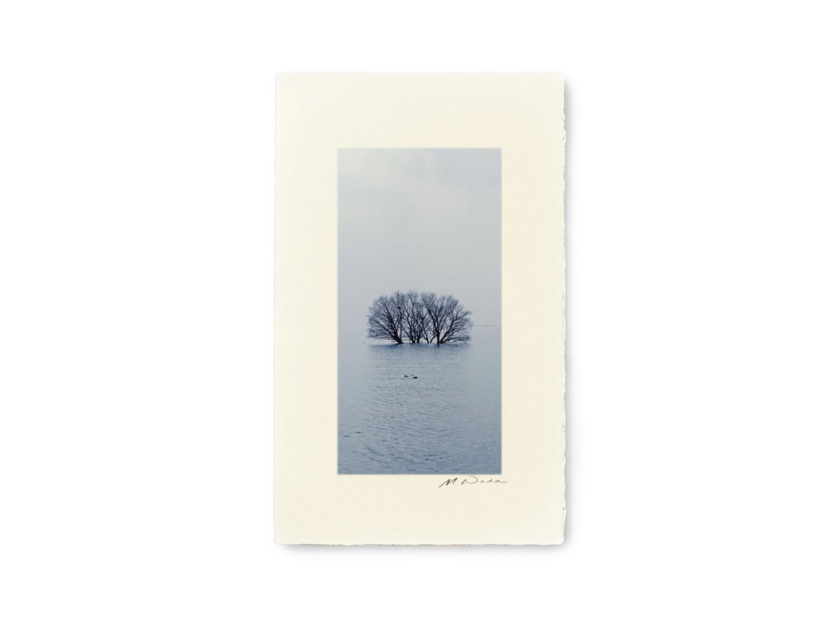 【アイグレボゥ/IGREBOW / GOODS】の日本 冬の琵琶湖 / 日本 冬の琵琶湖 1 × 2[ J-612-48 ] 人気、トレンドファッション・服の通販 founy(ファニー) 　送料無料　Free Shipping　フラット　Flat　プリント　Print　モダン　Modern　ランダム　Random　冬　Winter　other-2|ID: prp329100001236468 ipo3291000000031520620