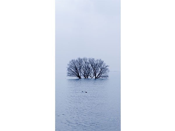【アイグレボゥ/IGREBOW / GOODS】の日本 冬の琵琶湖 / 日本 冬の琵琶湖 1 × 2[ J-612-48 ] 人気、トレンドファッション・服の通販 founy(ファニー) 　送料無料　Free Shipping　フラット　Flat　プリント　Print　モダン　Modern　ランダム　Random　冬　Winter　other-5|ID: prp329100001236468 ipo3291000000031520626