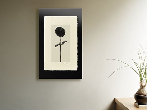 【アイグレボゥ/IGREBOW / GOODS】のダリア / ダリア 1 × 2[ F-612-18 ] 人気、トレンドファッション・服の通販 founy(ファニー) 　送料無料　Free Shipping　フラット　Flat, Flat Shoes　プリント　Print, Printed Pattern　モダン　Modern, Contemporary　ランダム　Random, Irregular　 other-1|ID: prp329100001236469 ipo3291000000030207136