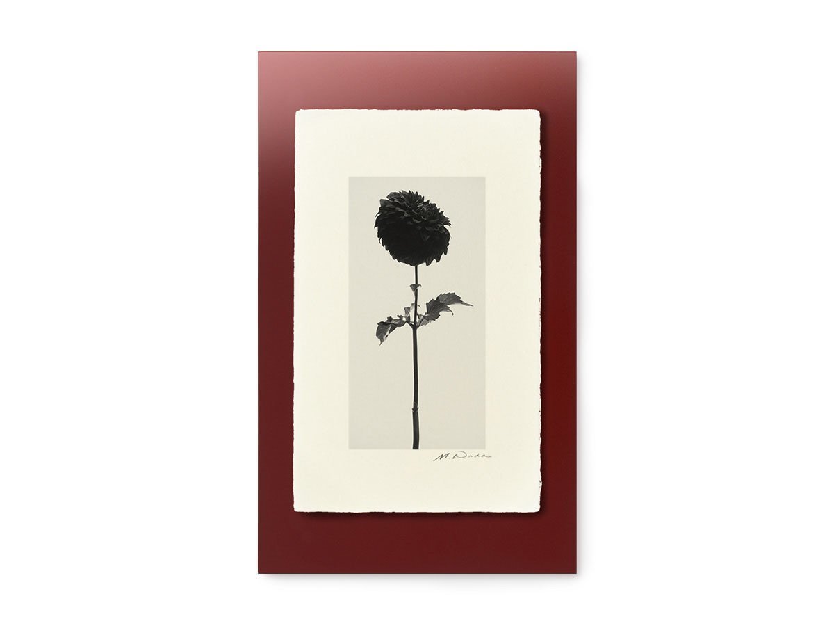 【アイグレボゥ/IGREBOW / GOODS】のダリア / ダリア 1 × 2[ F-612-18 ] 人気、トレンドファッション・服の通販 founy(ファニー) 　送料無料　Free Shipping　フラット　Flat, Flat Shoes　プリント　Print, Printed Pattern　モダン　Modern, Contemporary　ランダム　Random, Irregular　other-3|ID: prp329100001236469 ipo3291000000031520632