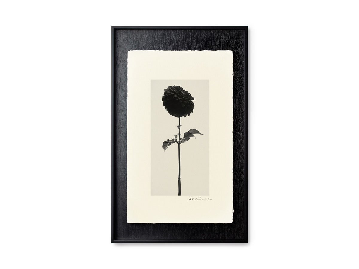 【アイグレボゥ/IGREBOW / GOODS】のダリア / ダリア 1 × 2[ F-612-18 ] 人気、トレンドファッション・服の通販 founy(ファニー) 　送料無料　Free Shipping　フラット　Flat, Flat Shoes　プリント　Print, Printed Pattern　モダン　Modern, Contemporary　ランダム　Random, Irregular　other-4|ID: prp329100001236469 ipo3291000000031520634