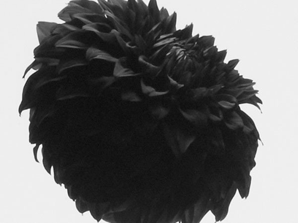 【アイグレボゥ/IGREBOW / GOODS】のダリア / ダリア 1 × 2[ F-612-18 ] 人気、トレンドファッション・服の通販 founy(ファニー) 　送料無料　Free Shipping　フラット　Flat, Flat Shoes　プリント　Print, Printed Pattern　モダン　Modern, Contemporary　ランダム　Random, Irregular　other-6|ID: prp329100001236469 ipo3291000000031520637