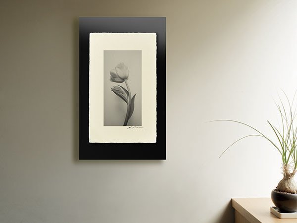 【アイグレボゥ/IGREBOW / GOODS】のチューリップ / チューリップ 1 × 2[ F-612-6 ] 人気、トレンドファッション・服の通販 founy(ファニー) 　送料無料　Free Shipping　チューリップ　Tube, Tube Top　フラット　Flat, Flat Shoes　プリント　Print, Printed Pattern　モダン　Modern, Contemporary　ランダム　Random, Irregular　 other-1|ID: prp329100001236473 ipo3291000000030207345