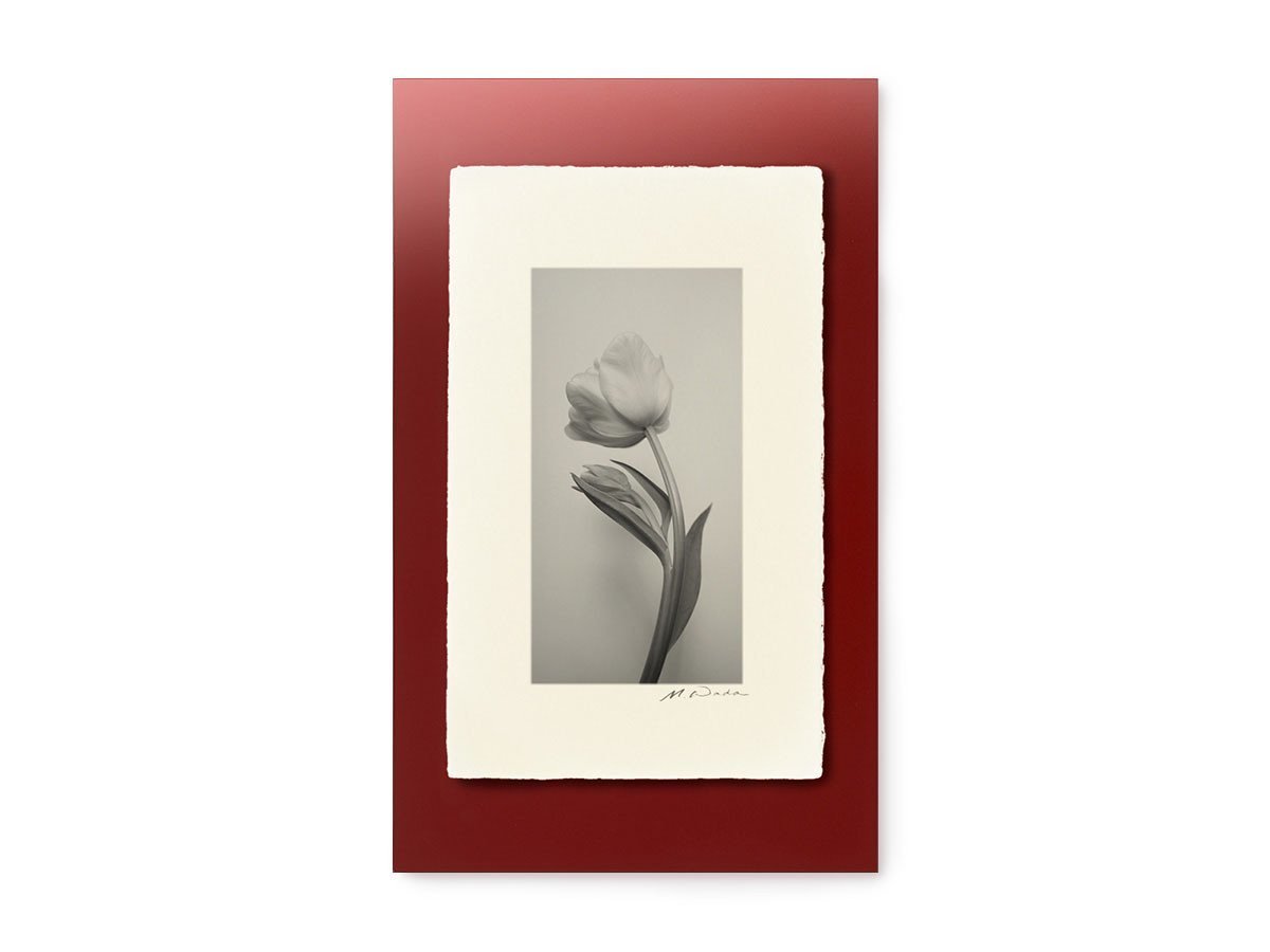 【アイグレボゥ/IGREBOW / GOODS】のチューリップ / チューリップ 1 × 2[ F-612-6 ] 人気、トレンドファッション・服の通販 founy(ファニー) 　送料無料　Free Shipping　チューリップ　Tube, Tube Top　フラット　Flat, Flat Shoes　プリント　Print, Printed Pattern　モダン　Modern, Contemporary　ランダム　Random, Irregular　other-3|ID: prp329100001236473 ipo3291000000031520671