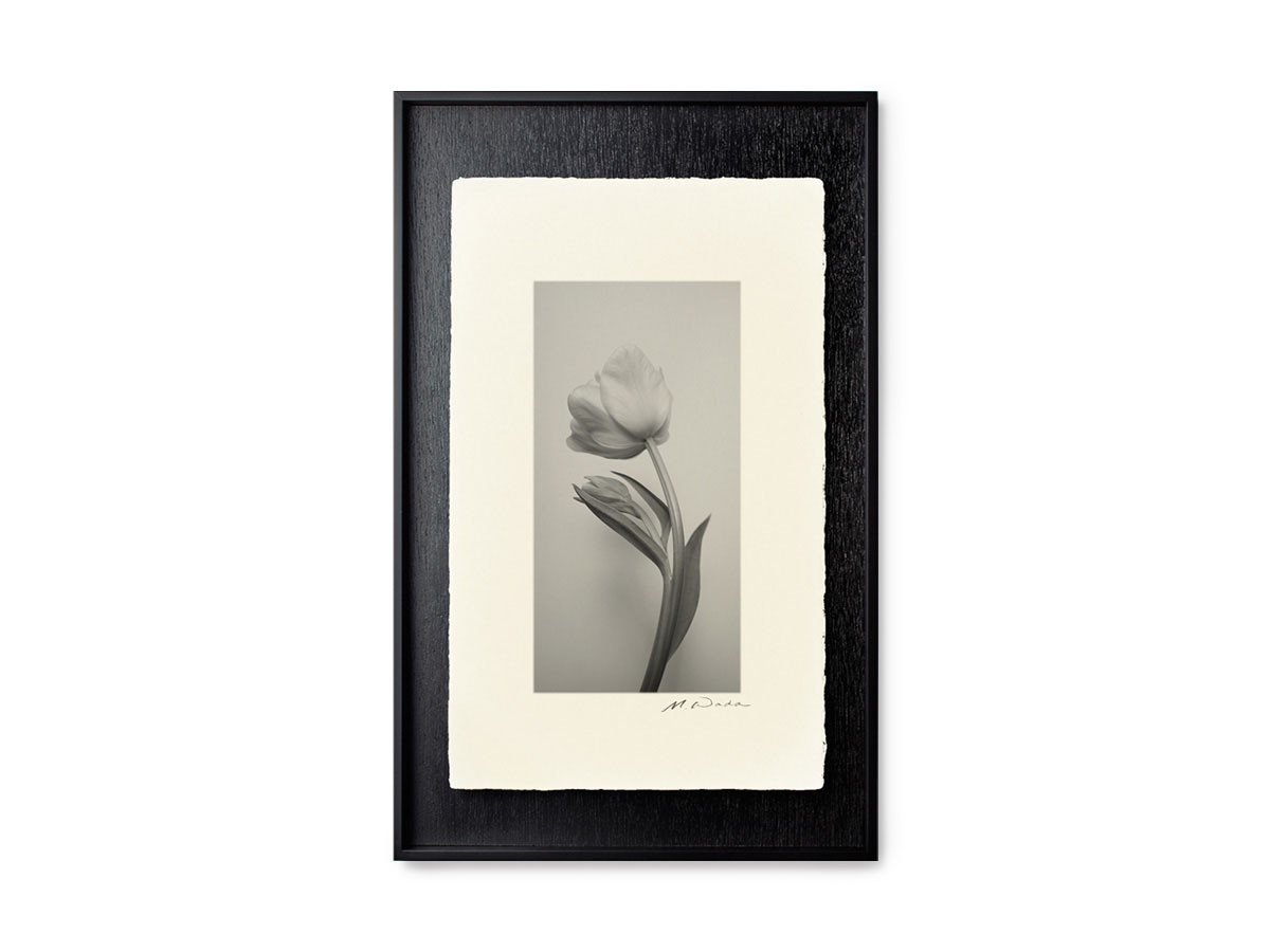 【アイグレボゥ/IGREBOW / GOODS】のチューリップ / チューリップ 1 × 2[ F-612-6 ] 人気、トレンドファッション・服の通販 founy(ファニー) 　送料無料　Free Shipping　チューリップ　Tube, Tube Top　フラット　Flat, Flat Shoes　プリント　Print, Printed Pattern　モダン　Modern, Contemporary　ランダム　Random, Irregular　other-4|ID: prp329100001236473 ipo3291000000031520672