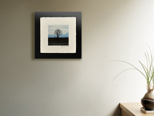 【アイグレボゥ/IGREBOW / GOODS】の日本 防波堤の木 / 日本 防波堤の木 1 × 1[ J-66-28 ] 人気、トレンドファッション・服の通販 founy(ファニー) 　送料無料　Free Shipping　フラット　Flat, Flat Shoes　プリント　Print, Printed Pattern　モダン　Modern, Contemporary　ランダム　Random, Irregular　 other-1|ID: prp329100001236475 ipo3291000000030207448