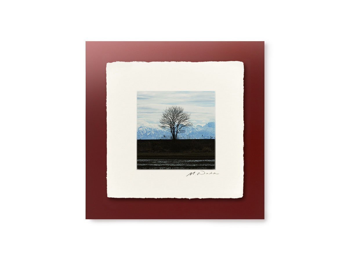 【アイグレボゥ/IGREBOW / GOODS】の日本 防波堤の木 / 日本 防波堤の木 1 × 1[ J-66-28 ] インテリア・キッズ・メンズ・レディースファッション・服の通販 founy(ファニー) 　送料無料　Free Shipping　フラット　Flat, Flat Shoes　プリント　Print, Printed Pattern　モダン　Modern, Contemporary　ランダム　Random, Irregular　額装タイプ:越前塗板額(赤)|ID: prp329100001236475 ipo3291000000030207466