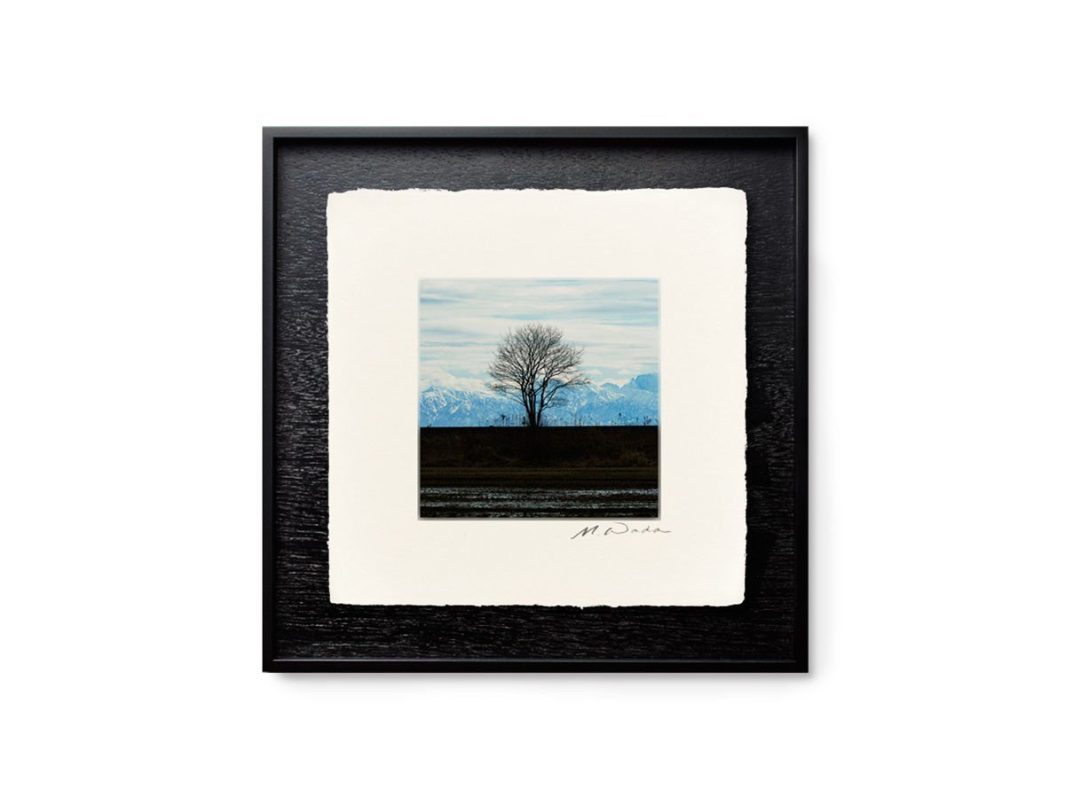 【アイグレボゥ/IGREBOW / GOODS】の日本 防波堤の木 / 日本 防波堤の木 1 × 1[ J-66-28 ] インテリア・キッズ・メンズ・レディースファッション・服の通販 founy(ファニー) 　送料無料　Free Shipping　フラット　Flat, Flat Shoes　プリント　Print, Printed Pattern　モダン　Modern, Contemporary　ランダム　Random, Irregular　額装タイプ:和紙用木製額|ID: prp329100001236475 ipo3291000000030207473