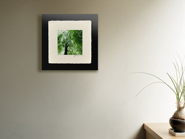 【アイグレボゥ/IGREBOW / GOODS】の日本 樹木 / 日本 樹木 1 × 1[ J-66-17 ] 人気、トレンドファッション・服の通販 founy(ファニー) 　送料無料　Free Shipping　フラット　Flat, Flat Shoes　プリント　Print, Printed Pattern　モダン　Modern, Contemporary　ランダム　Random, Irregular　 other-1|ID: prp329100001236483 ipo3291000000030207786