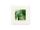 【アイグレボゥ/IGREBOW / GOODS】の日本 樹木 / 日本 樹木 1 × 1[ J-66-17 ] 人気、トレンドファッション・服の通販 founy(ファニー) 送料無料 Free Shipping フラット Flat, Flat Shoes プリント Print, Printed Pattern モダン Modern, Contemporary ランダム Random, Irregular thumbnail 額装タイプ:手漉き和紙額装|ID: prp329100001236483 ipo3291000000030207795