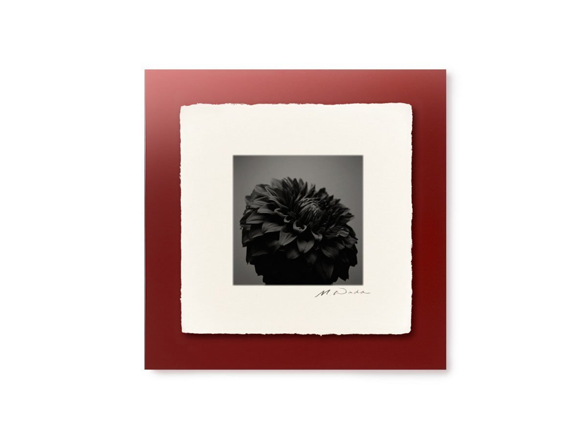 【アイグレボゥ/IGREBOW / GOODS】のダリア / ダリア 1 × 1[ F-66-27 ] 人気、トレンドファッション・服の通販 founy(ファニー) 　送料無料　Free Shipping　フラット　Flat, Flat Shoes　プリント　Print, Printed Pattern　モダン　Modern, Contemporary　ランダム　Random, Irregular　other-3|ID: prp329100001236484 ipo3291000000031520768