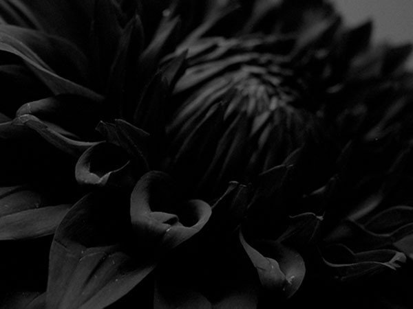 【アイグレボゥ/IGREBOW / GOODS】のダリア / ダリア 1 × 1[ F-66-27 ] 人気、トレンドファッション・服の通販 founy(ファニー) 　送料無料　Free Shipping　フラット　Flat, Flat Shoes　プリント　Print, Printed Pattern　モダン　Modern, Contemporary　ランダム　Random, Irregular　other-6|ID: prp329100001236484 ipo3291000000031520774