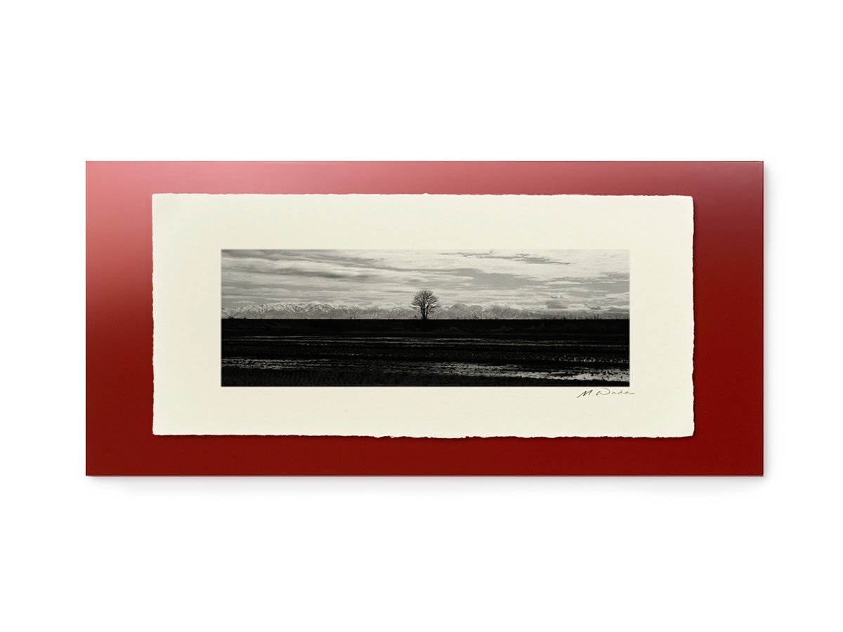 【アイグレボゥ/IGREBOW / GOODS】の日本 堤防の木と立山連峰 / 日本 堤防の木と立山連峰 1 × 3[ 8-617-79 ] 人気、トレンドファッション・服の通販 founy(ファニー) 　フラット　Flat, Flat Shoes　プリント　Print, Printed Pattern　モダン　Modern, Contemporary　ランダム　Random, Irregular　送料無料　Free Shipping　other-3|ID: prp329100001236495 ipo3291000000031520828