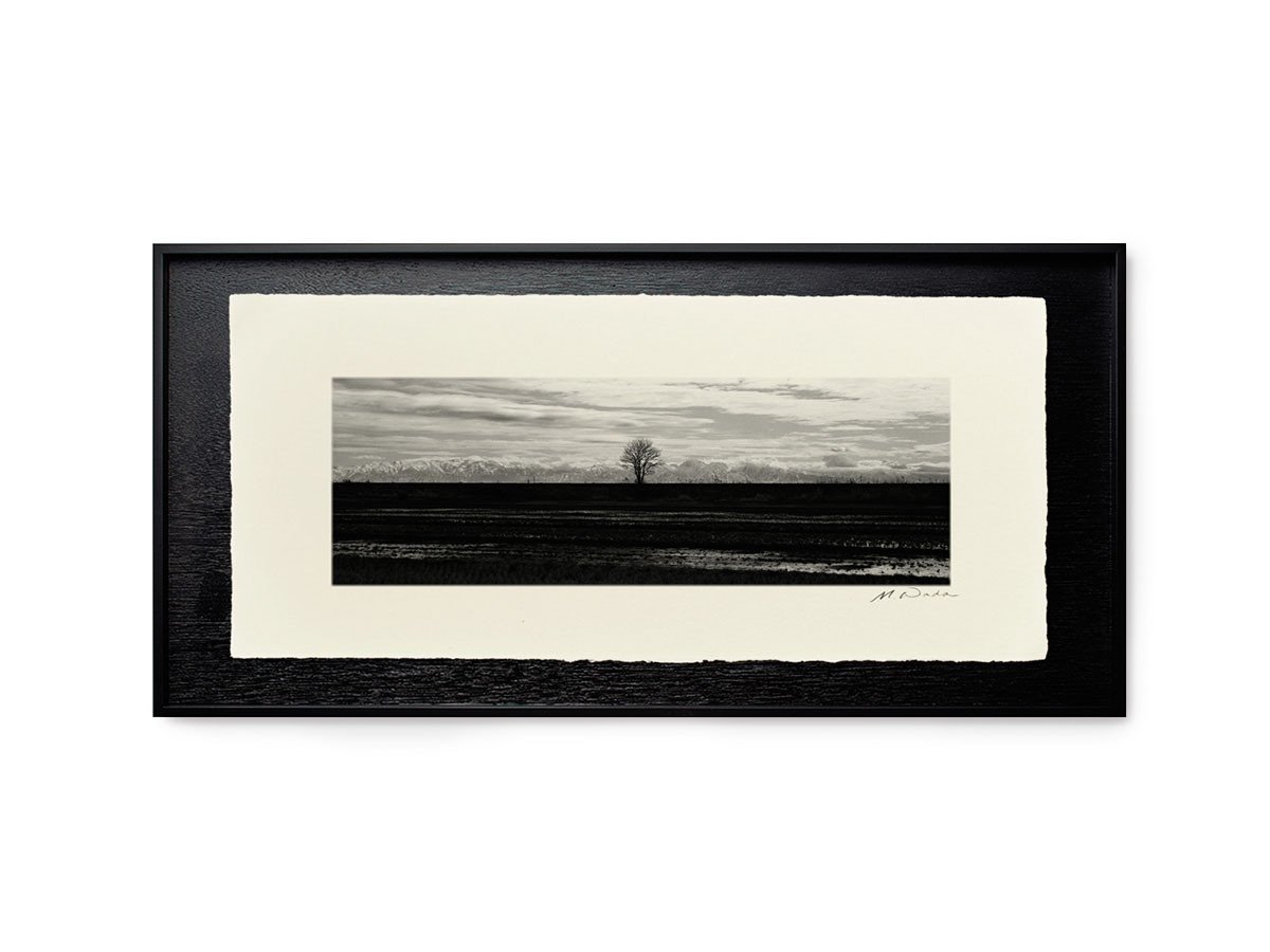 【アイグレボゥ/IGREBOW / GOODS】の日本 堤防の木と立山連峰 / 日本 堤防の木と立山連峰 1 × 3[ 8-617-79 ] 人気、トレンドファッション・服の通販 founy(ファニー) 　フラット　Flat, Flat Shoes　プリント　Print, Printed Pattern　モダン　Modern, Contemporary　ランダム　Random, Irregular　送料無料　Free Shipping　other-4|ID: prp329100001236495 ipo3291000000031520830