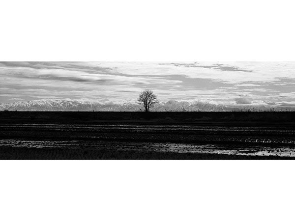 【アイグレボゥ/IGREBOW / GOODS】の日本 堤防の木と立山連峰 / 日本 堤防の木と立山連峰 1 × 3[ 8-617-79 ] 人気、トレンドファッション・服の通販 founy(ファニー) 　フラット　Flat, Flat Shoes　プリント　Print, Printed Pattern　モダン　Modern, Contemporary　ランダム　Random, Irregular　送料無料　Free Shipping　other-5|ID: prp329100001236495 ipo3291000000031520831