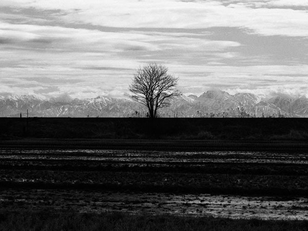 【アイグレボゥ/IGREBOW / GOODS】の日本 堤防の木と立山連峰 / 日本 堤防の木と立山連峰 1 × 3[ 8-617-79 ] 人気、トレンドファッション・服の通販 founy(ファニー) 　フラット　Flat, Flat Shoes　プリント　Print, Printed Pattern　モダン　Modern, Contemporary　ランダム　Random, Irregular　送料無料　Free Shipping　other-6|ID: prp329100001236495 ipo3291000000031520832