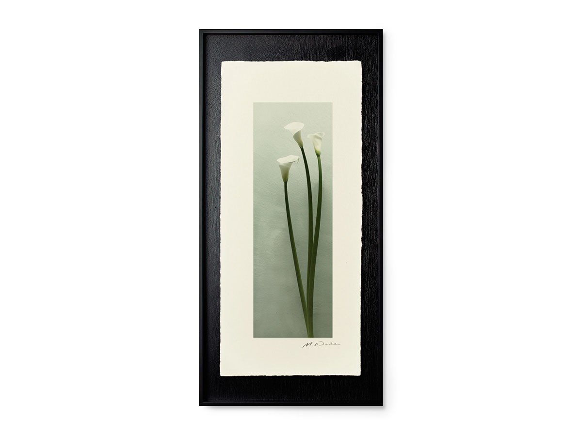 【アイグレボゥ/IGREBOW / GOODS】のカラー / カラー 1 × 3[ CF-617-2 ] 人気、トレンドファッション・服の通販 founy(ファニー) 　送料無料　Free Shipping　フラット　Flat, Flat Shoes　プリント　Print, Printed Pattern　モダン　Modern, Contemporary　ランダム　Random, Irregular　other-4|ID: prp329100001236497 ipo3291000000031520846