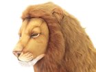 【ハンサ/HANSA / GOODS】のLION MALE SIT. / オスライオン お座り 125 ハンドメイドならではの個性と愛嬌のある表情が魅力です。|ID:prp329100001236526