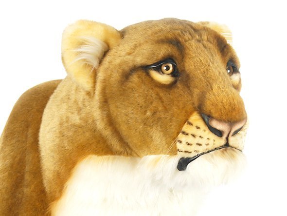 【ハンサ/HANSA / GOODS】のLIONESS SITTING / メスライオン お座り 80 人気、トレンドファッション・服の通販 founy(ファニー) 　送料無料　Free Shipping　ハンド　Hand　リアル　Real　other-2|ID: prp329100001236527 ipo3291000000031520949