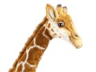 【ハンサ/HANSA / GOODS】のGIRAFFE / キリン 130 ハンドメイドならではの個性と愛嬌のある表情が魅力です。|ID:prp329100001236529