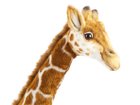 【ハンサ/HANSA / GOODS】のGIRAFFE / キリン 130 人気、トレンドファッション・服の通販 founy(ファニー) 送料無料 Free Shipping ハンド Hand リアル Real thumbnail ハンドメイドならではの個性と愛嬌のある表情が魅力です。|ID: prp329100001236529 ipo3291000000030169501
